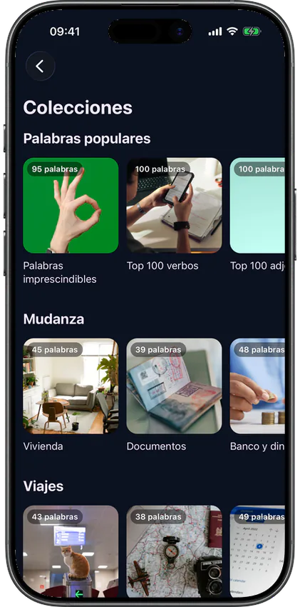 Colecciones de palabras agrupadas por categoría en la app VibeLing