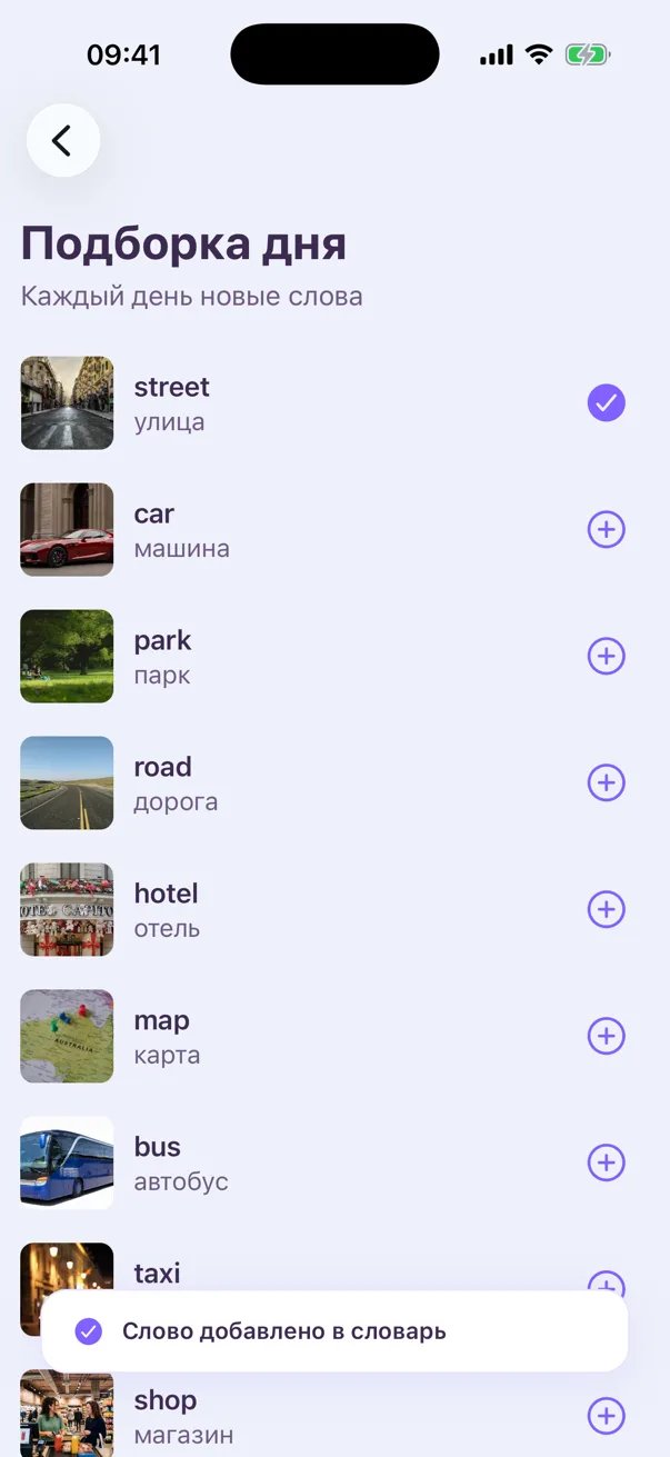 Daily picks: more words